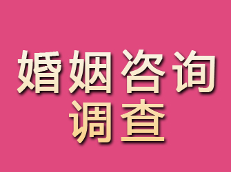 海宁婚姻咨询调查